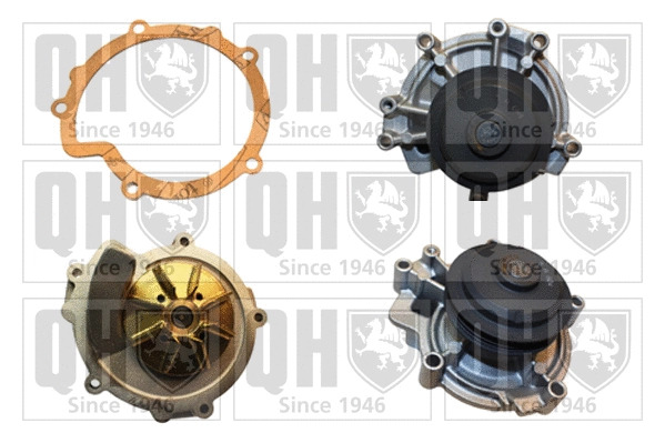 Water Pump, engine cooling (QCP3376)