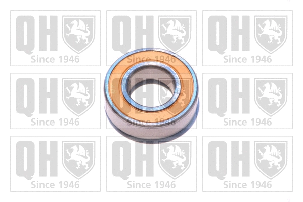 Bearing (XB9923)