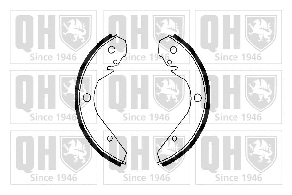 Brake Shoe Set (BS646)