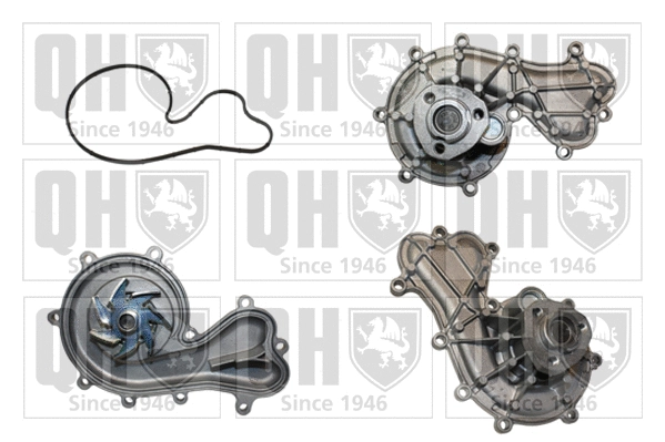 Water Pump, engine cooling (QCP3788)
