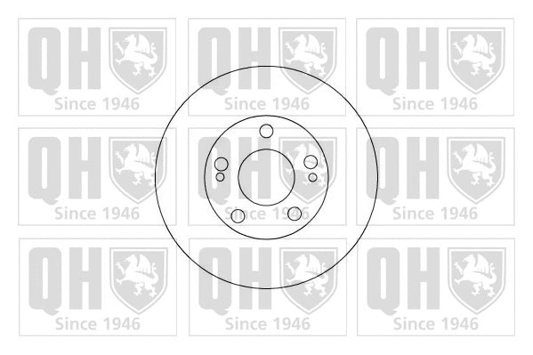 Brake Disc (BDC4981)