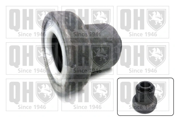 Mounting, control/trailing arm (EMS8097)