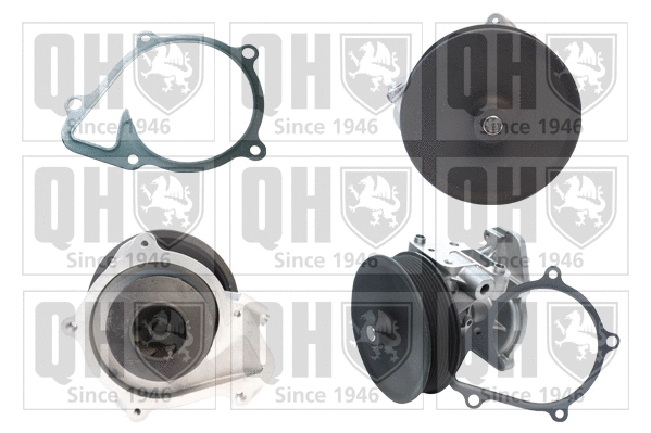 Water Pump, engine cooling (QCP3737)