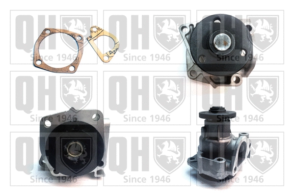 Water Pump, engine cooling (QCP3403)