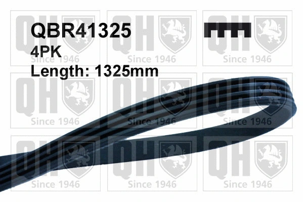 V-Ribbed Belt (QBR41325)