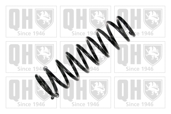 Suspension Spring (QCS7598)
