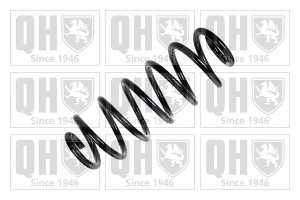 Suspension Spring (QCS5387)