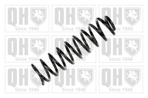 Suspension Spring (QCS7308)