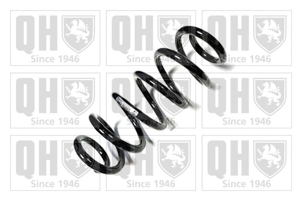 Suspension Spring (QCS8817)