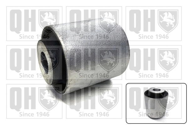 Mounting, control/trailing arm (EMS8720)