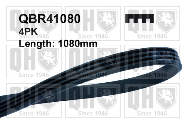 V-Ribbed Belt (QBR41080)