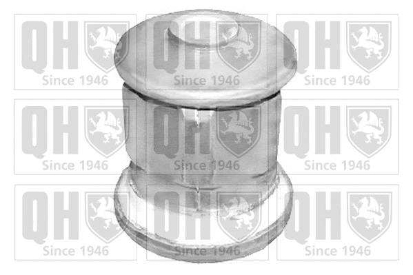 Mounting, control/trailing arm (EMS8281)