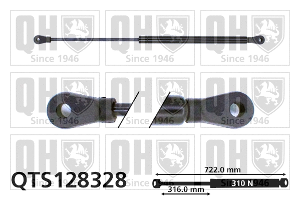 Gas Spring, bonnet (QTS128328)