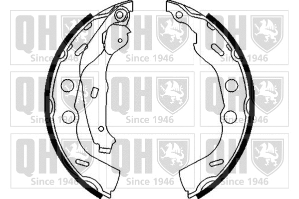 Brake Shoe Set (BS1110)