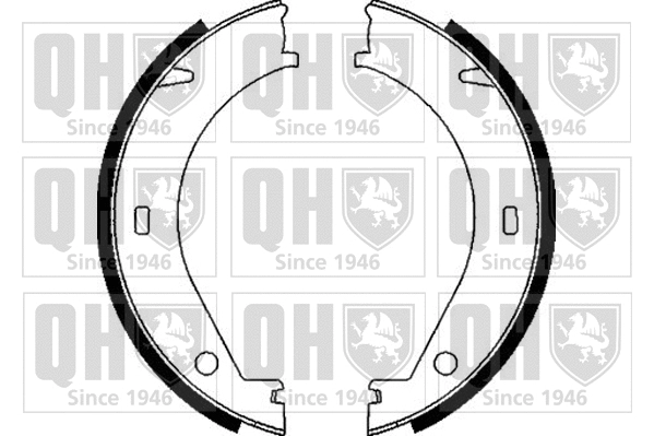 Brake Shoe Set, parking brake (BS895)