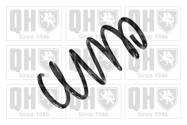 Suspension Spring (QCS6435)