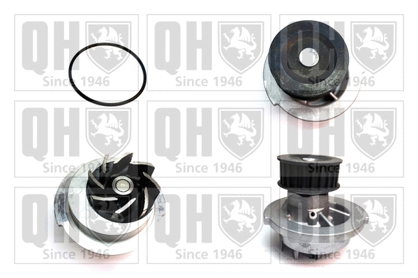 Water Pump, engine cooling (QCP3486)