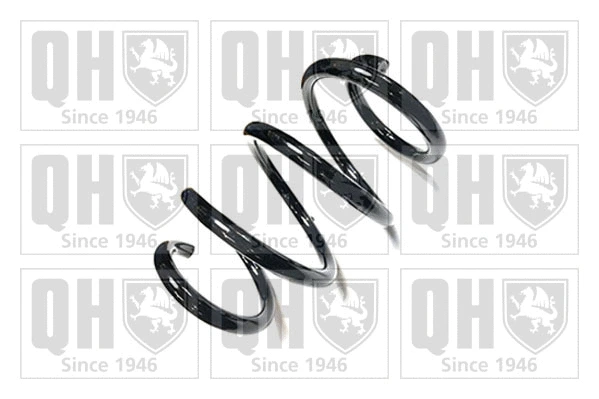 Suspension Spring (QCS8774)