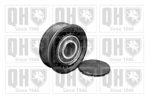 Belt Tensioner, V-ribbed belt (QTA1070)