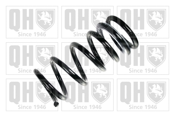 Suspension Spring (QCS7018)