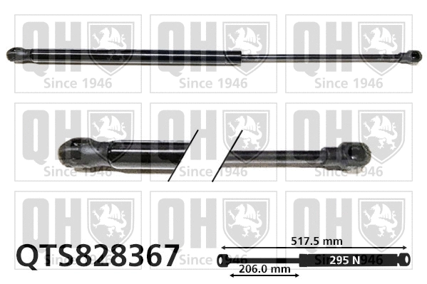 Gas Spring, boot/cargo area (QTS828367)