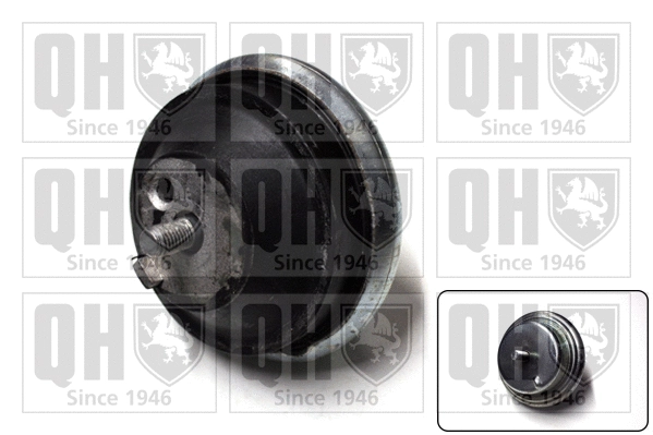 Mounting, engine (EM2461)