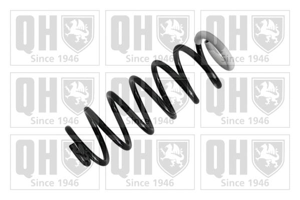 Suspension Spring (QCS7972)
