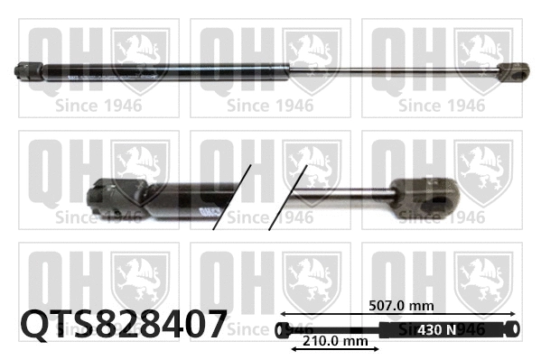 Gas Spring, boot/cargo area (QTS828407)