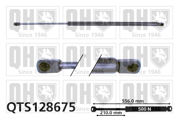 Gas Spring, boot/cargo area (QTS128675)