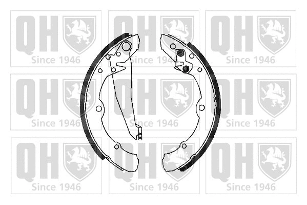 Brake Shoe Set (BS602)