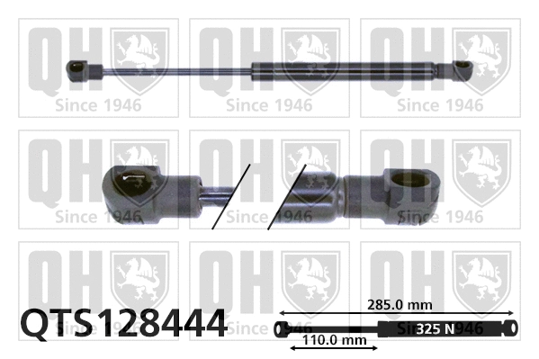 Gas Spring, boot/cargo area (QTS128444)