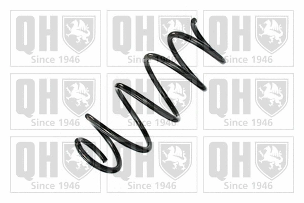 Suspension Spring (QCS8916)