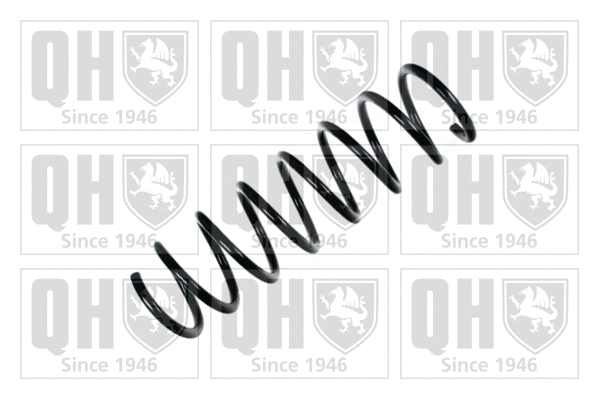 Suspension Spring (QCS7046)