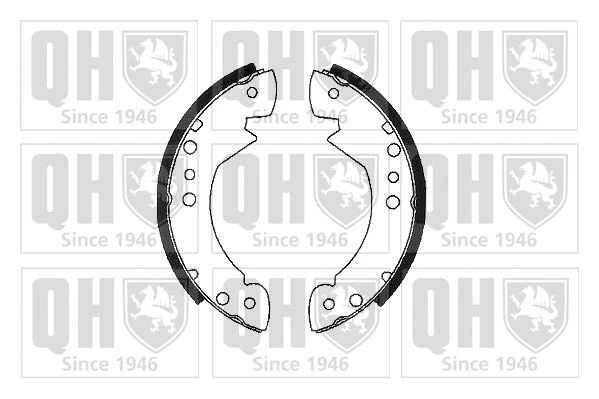 Brake Shoe Set (BS540)