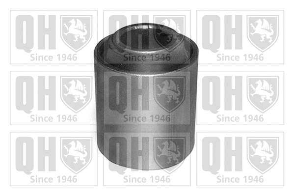 Mounting, control/trailing arm (EMS8436)