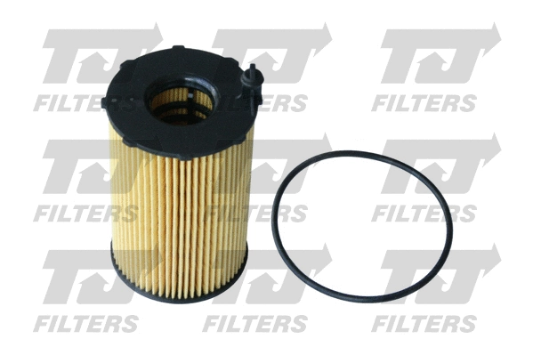 Oil Filter (QFL0307)