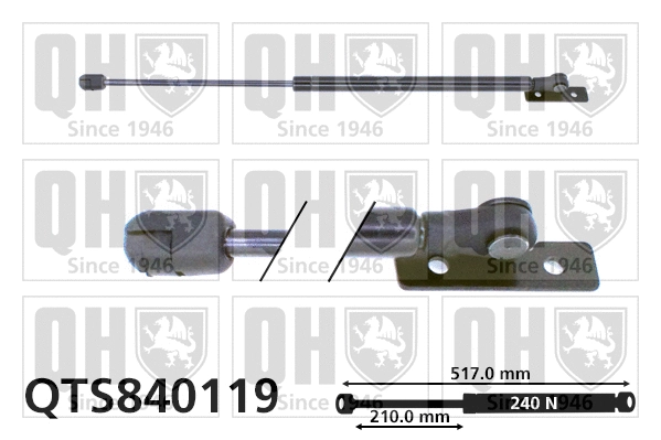 Gas Spring, bonnet (QTS840119)