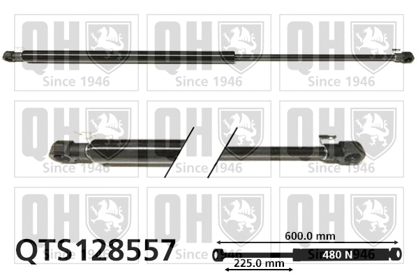 Gas Spring, boot/cargo area (QTS128557)