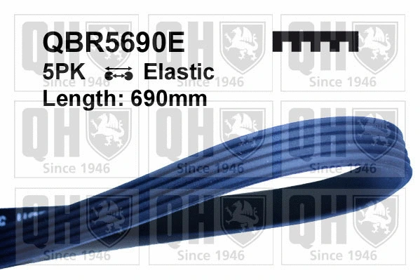 V-Ribbed Belt (QBR5690E)