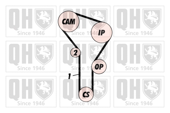 Timing Belt Kit (QBK282)