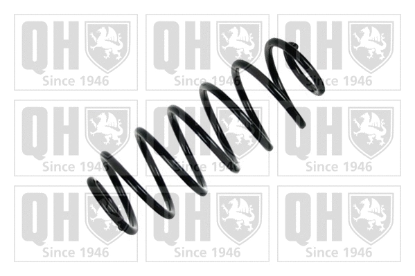 Suspension Spring (QCS7835)