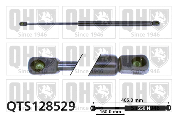 Gas Spring, boot/cargo area (QTS128529)