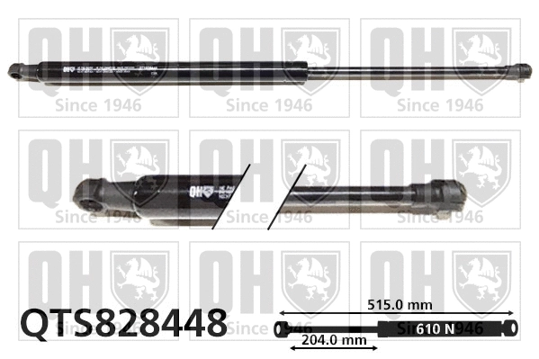 Gas Spring, boot/cargo area (QTS828448)