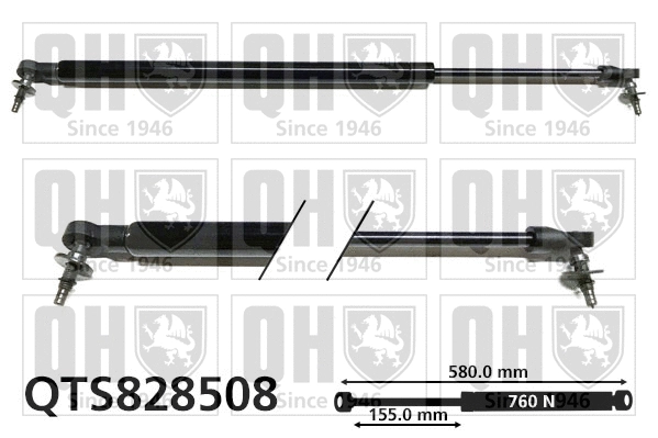 Gas Spring, boot/cargo area (QTS828508)