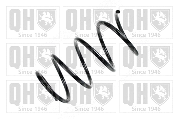 Suspension Spring (QCS7889)