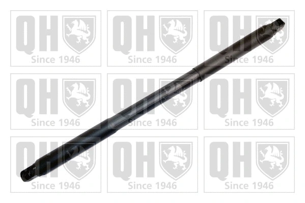 Gas Spring, boot/cargo area (QTS828791)