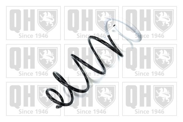 Suspension Spring (QCS7077)