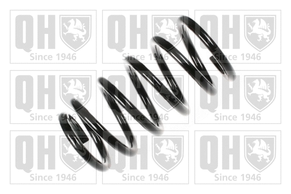 Suspension Spring (QCS6530)