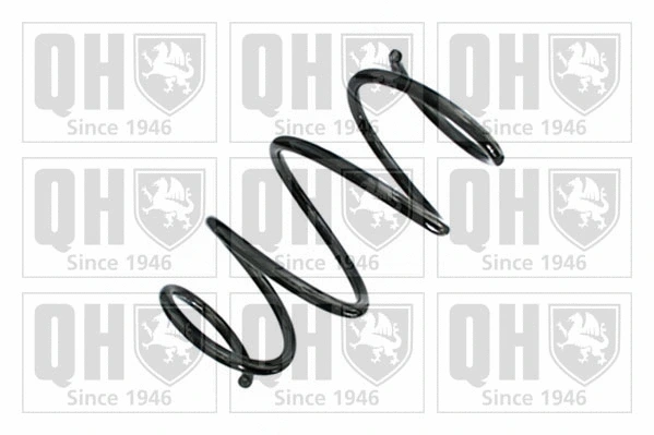Suspension Spring (QCS8894)