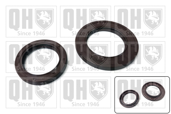 Gasket Kit, crankcase (ENG41015)